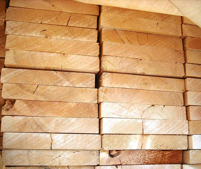 齐河智利辐射松方木