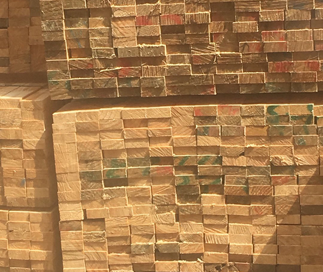 齐河新西兰进口松木